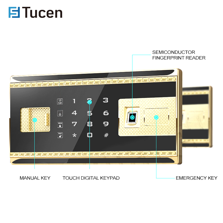BS0500E TUCEN Fingerprint Security Fingerprint Electronic Digital Money Luxury Safes For Home